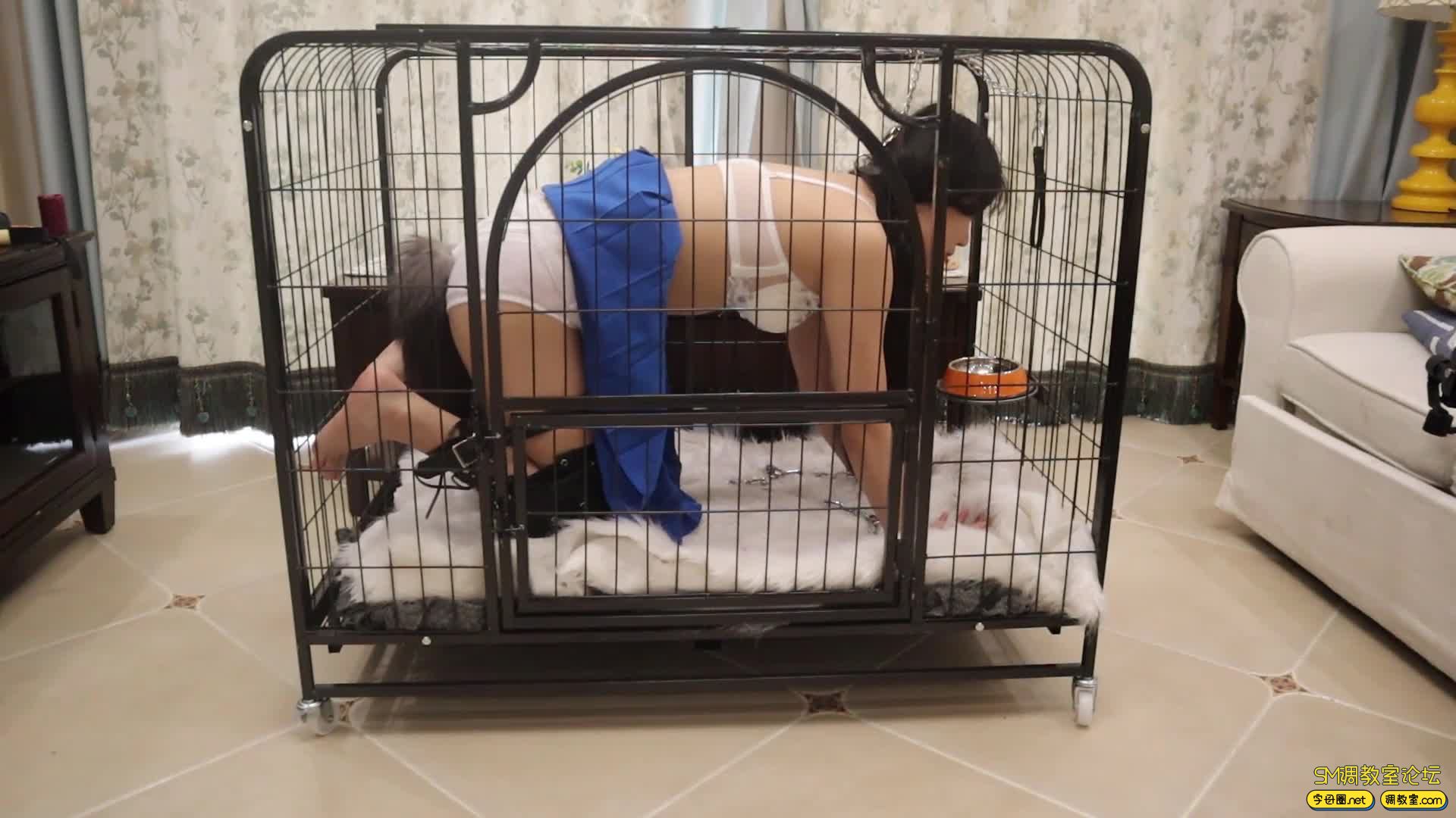 夜未央  小萝莉婉婉之初调教（下集） 人形犬 带尾巴的小母狗 ，进行各种犬化训练 狗盆喝奶 溜狗牵引 紧缚强高 狗笼囚禁-视频截图4